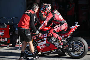 Nicolo Bulega und seine Ducati sind beinahe unschlagbar