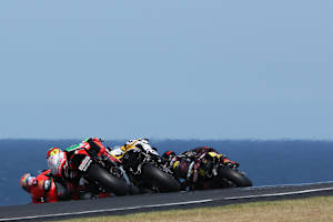 Den freien Blick aufs Meer gibt es nur auf Phillip Island