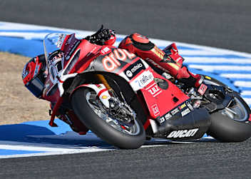 Nicolo Bulega