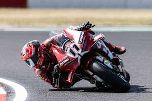 Nicolo Bulega