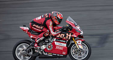 Superbike-WM-Leader Nicolo Bulega