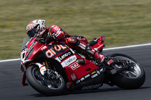 Nicolo Bulega