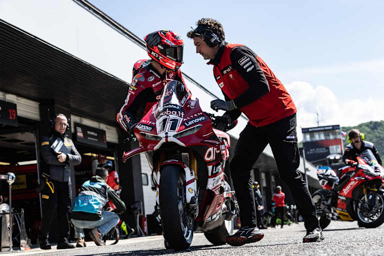 Nicolo Bulega