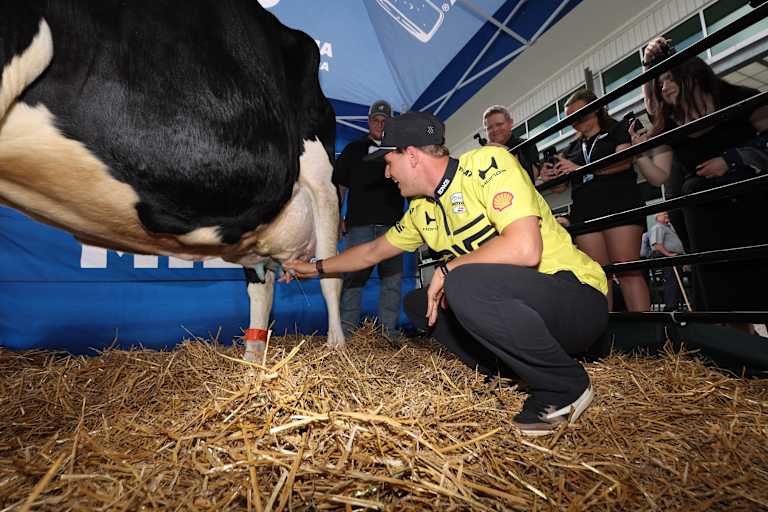 Mick Schumacher schritt zur Tat, molk eine Kuh