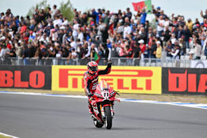 Nicolo Bulega