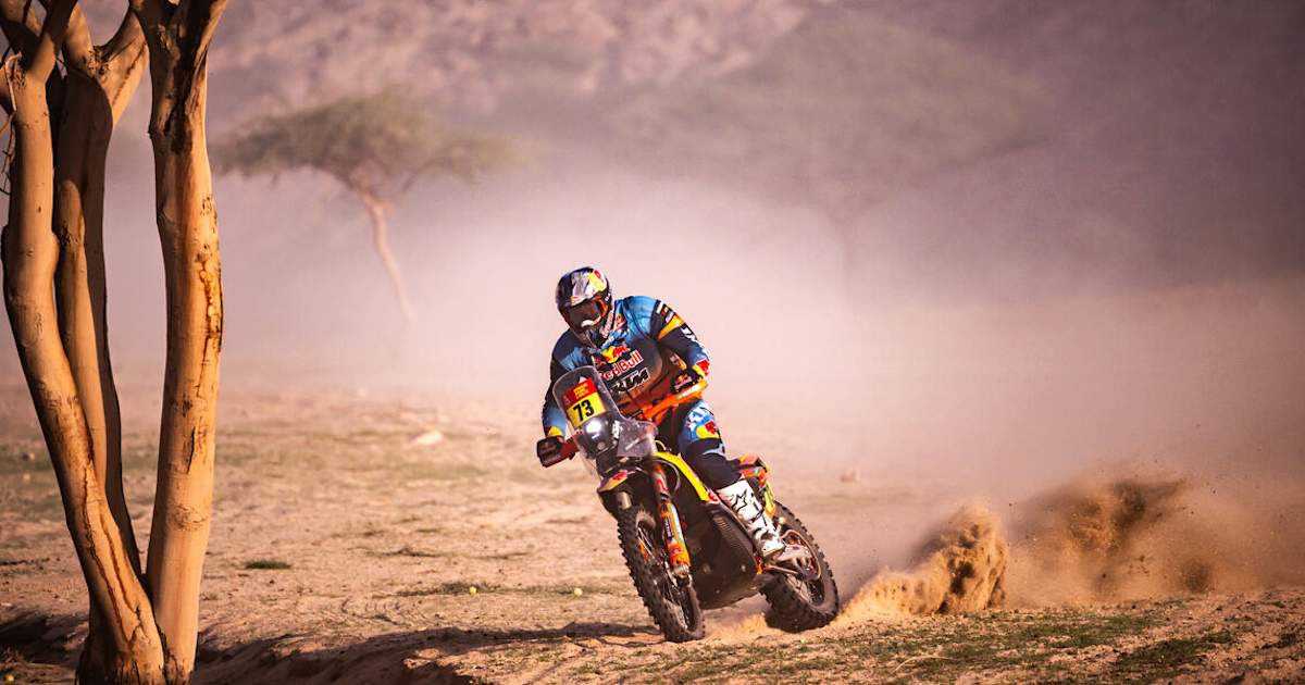 KTM-Junior-Edgar-Canet-Kamele-und-B-ume-kreuzten-seinen-Weg-Sturz-