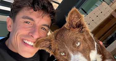 Marc Marquez mit Border-Collie-Mischling Turco