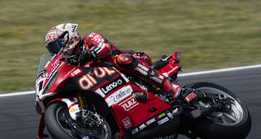 Nicolo Bulega