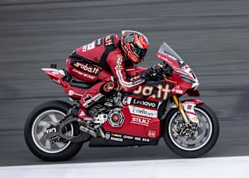 Superbike-WM-Leader Nicolo Bulega
