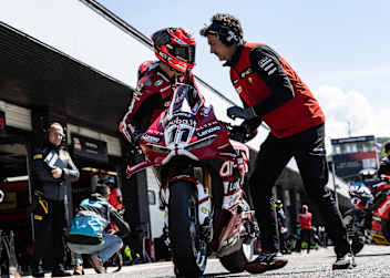 Nicolo Bulega
