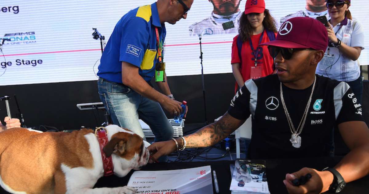 Lewis Hamilton traurig: Hündin Coco gestorben - Formel 1 - SPEEDWEEK.com
