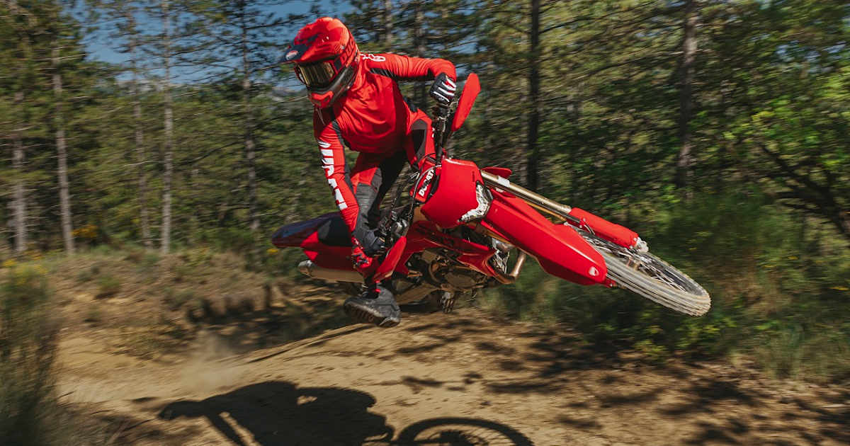 Ducati-Desmo450-EDS-Motor-und-Fahrwerk-angepasst-an-den-Endurosport