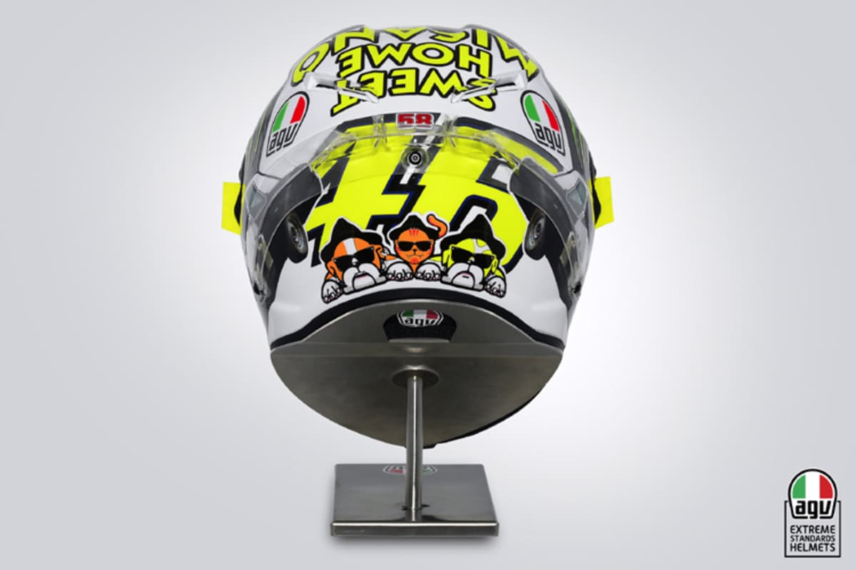 Des «Doktors» Hunde und seine Katze