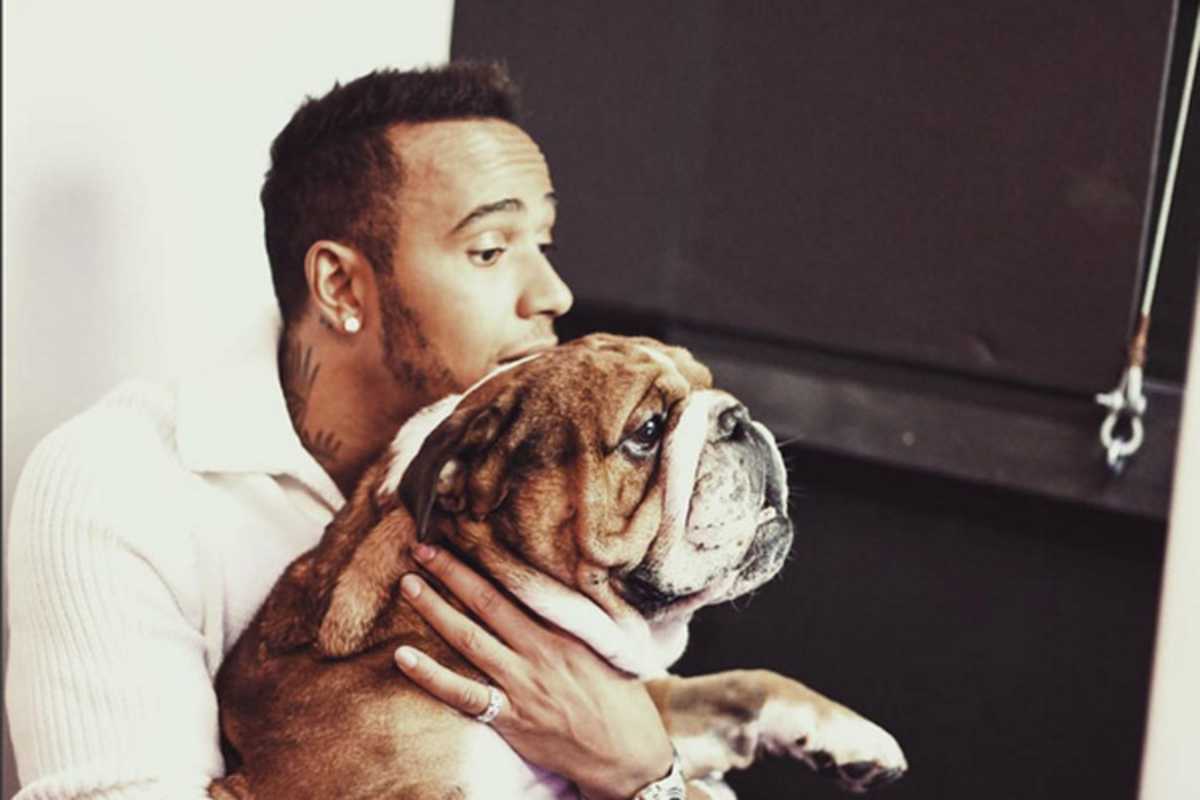 Lewis Hamilton und Roscoe sind gerade in Amerika