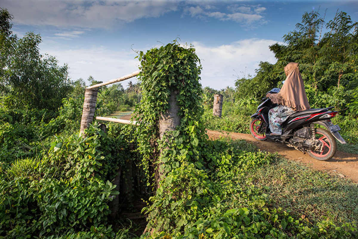 Kuta Lombok: Hier soll einmal die GP-Strecke vorbeiführen