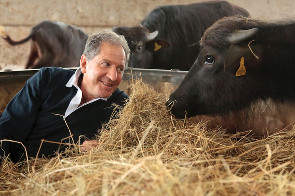 Als glücklicher Biobauer