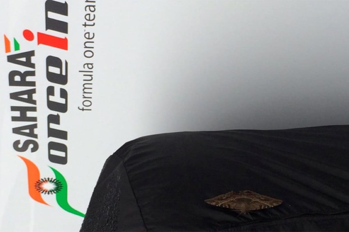 Ein Falter als Besucher bei Force India