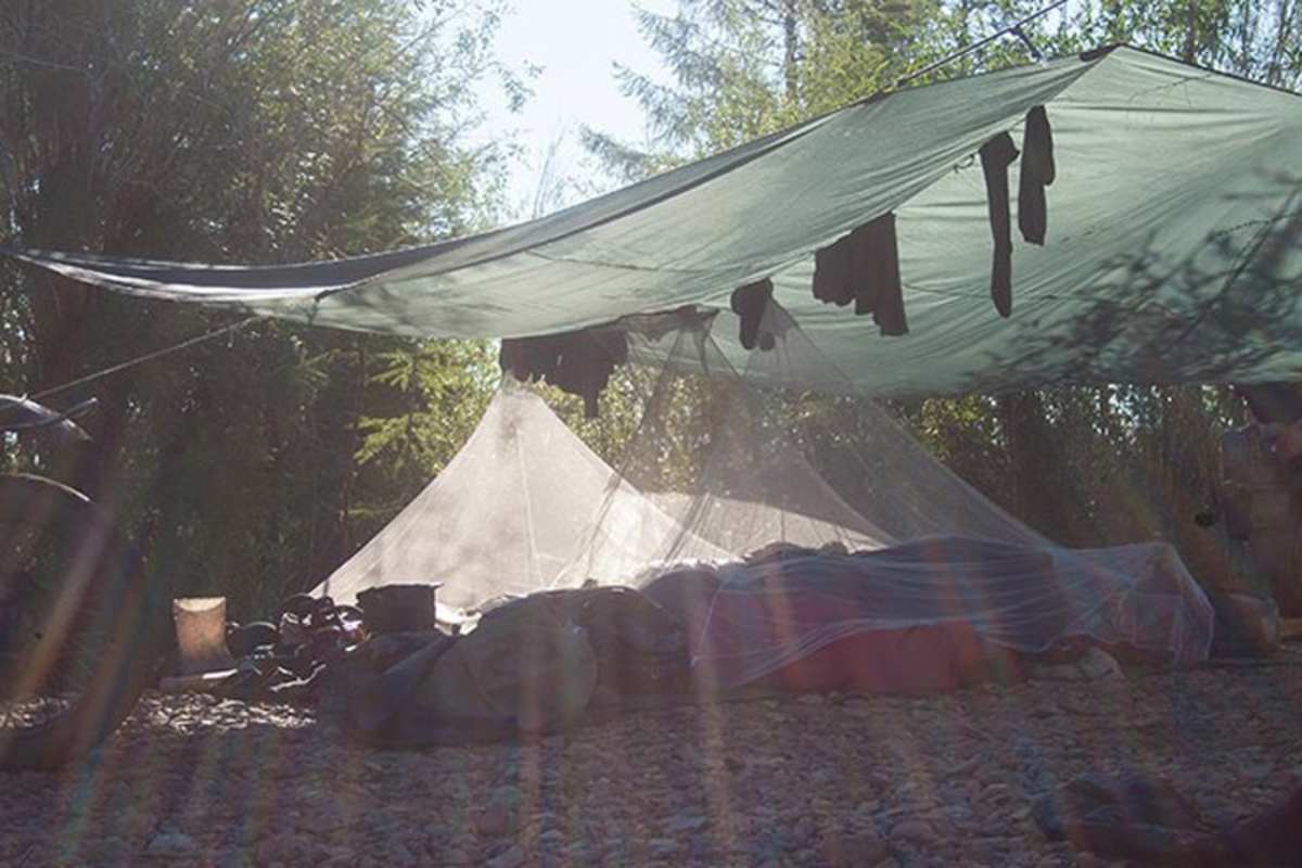 Wo es Sumpf gibt, sind die Mücken nicht weit