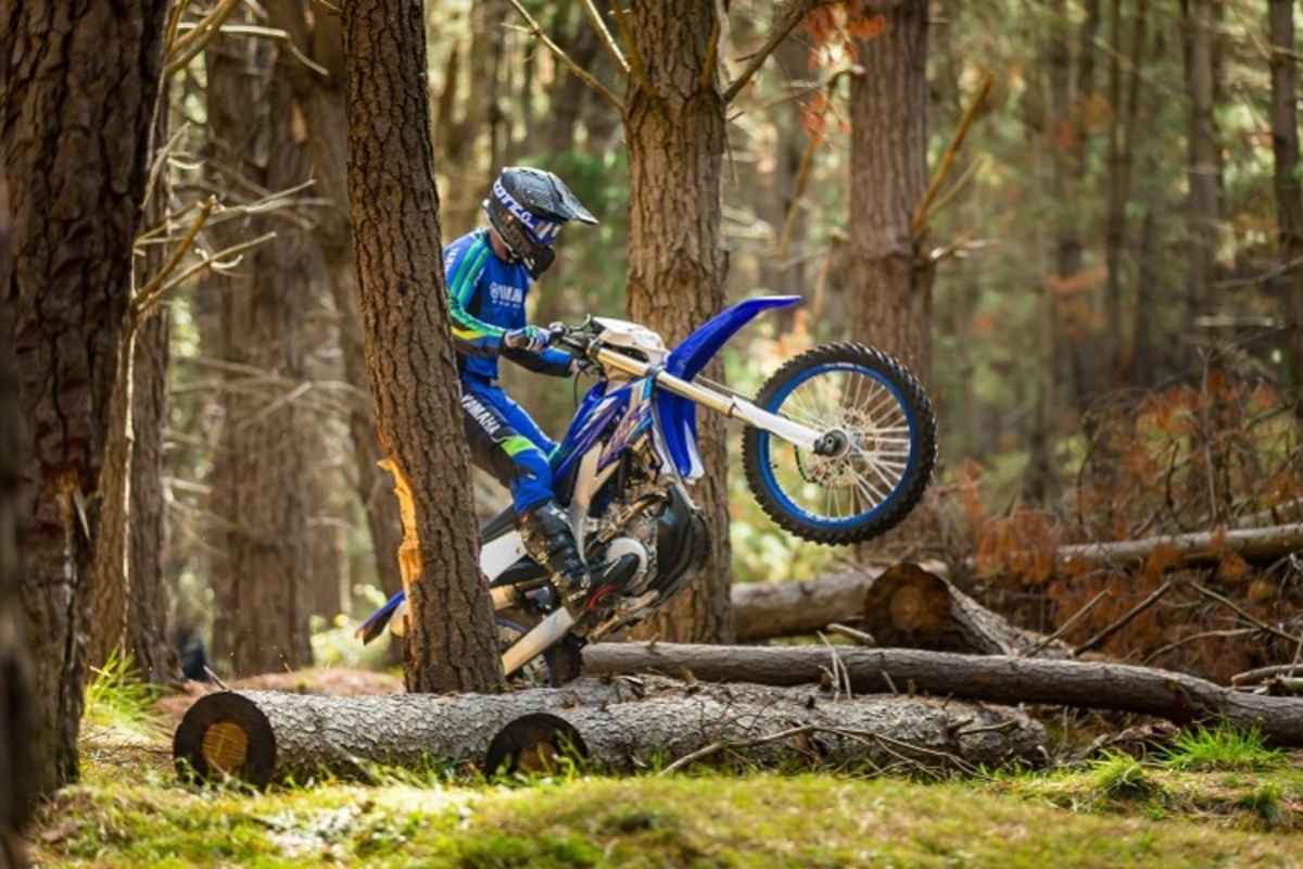 Echte Waldmaschine: Yamaha WR250F