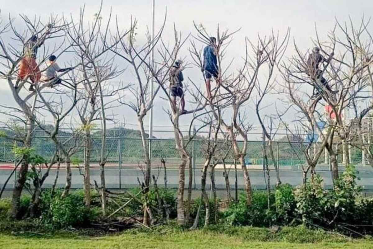 Die Superbike-Fans in Indonesien scheuen keine MÃ¼he