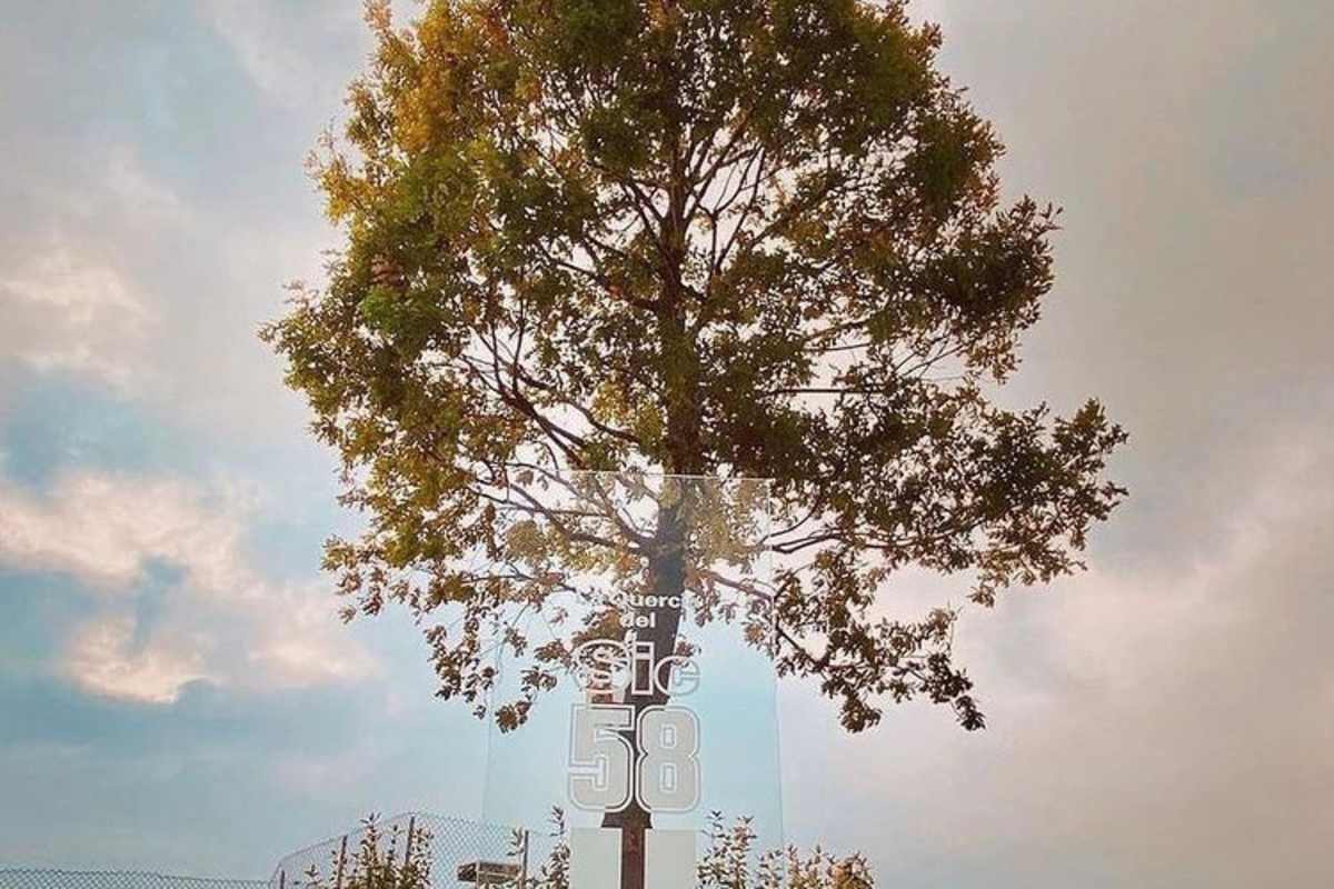 In Misano erinnert seit Oktober 2021 eine Eiche an Super-SIC