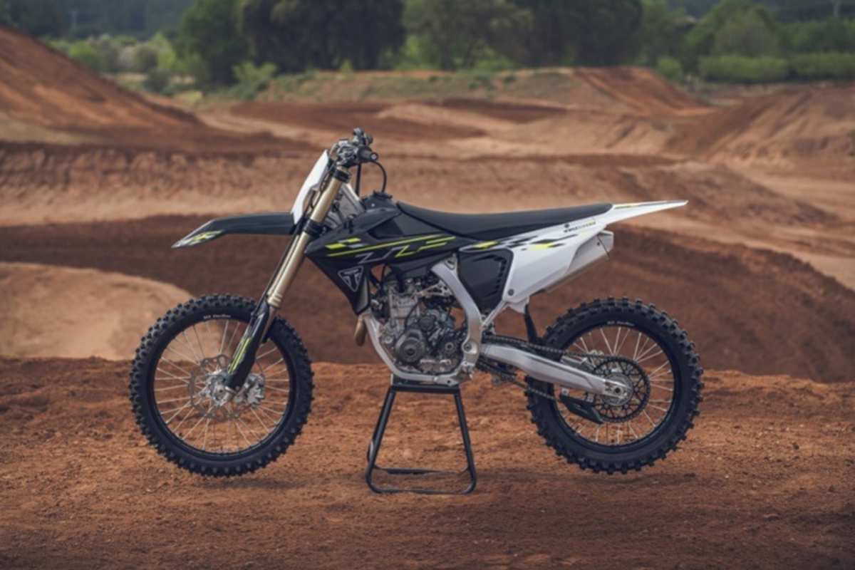 Sieht elegant aus - wir nähern uns mit dem nötigen Respekt