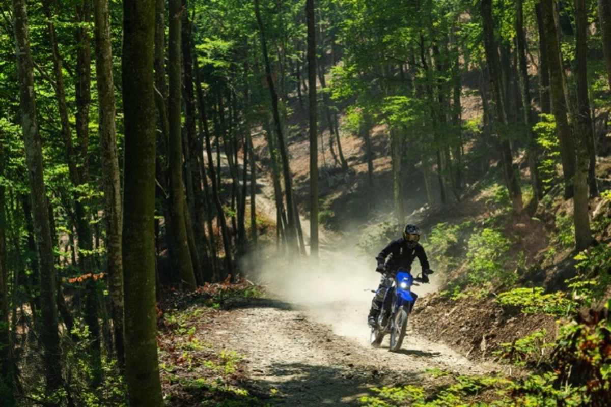 Start ins grosse Abenteuer schon ab 16 Jahren