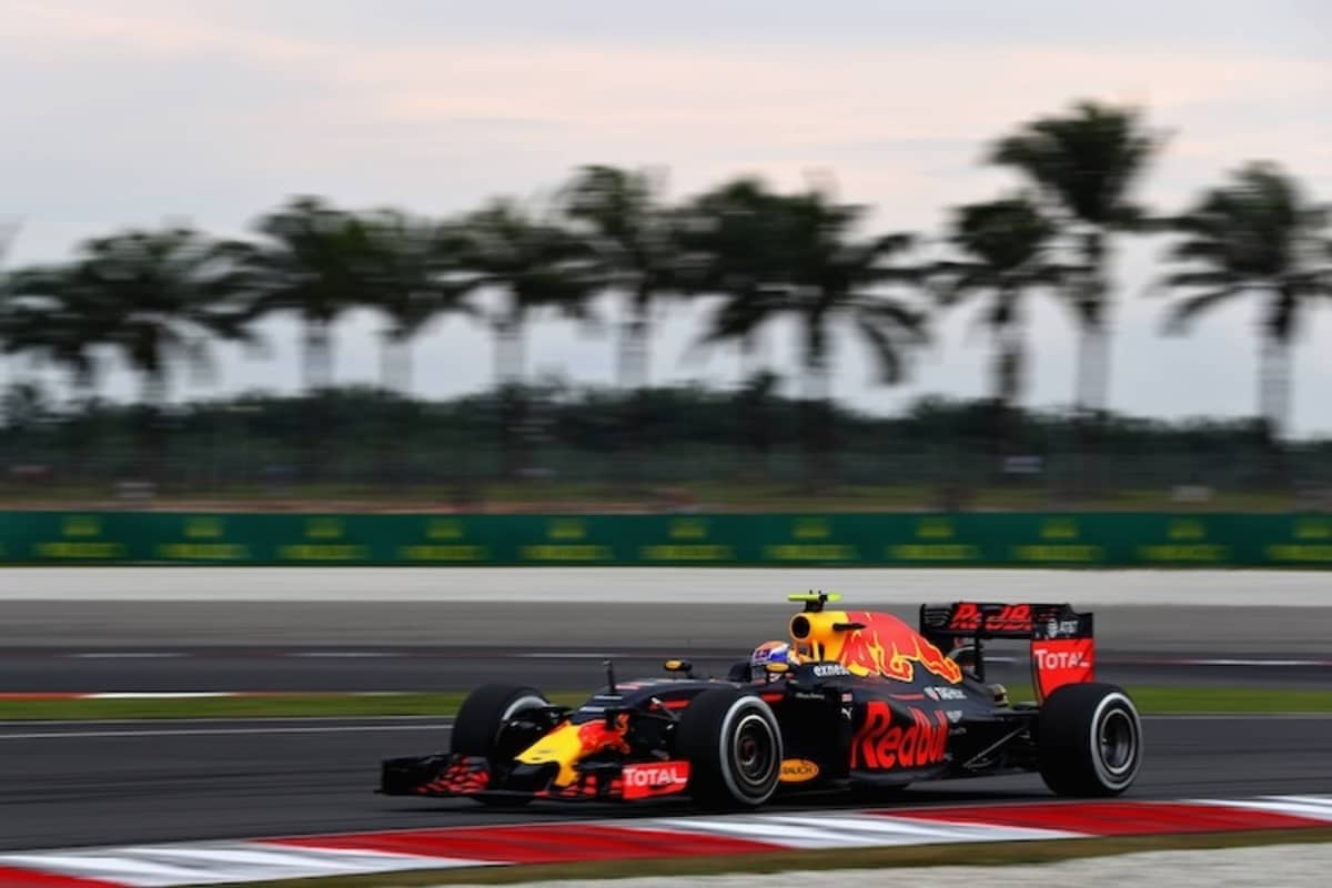 Palmenflair in Sepang (Malaysia)