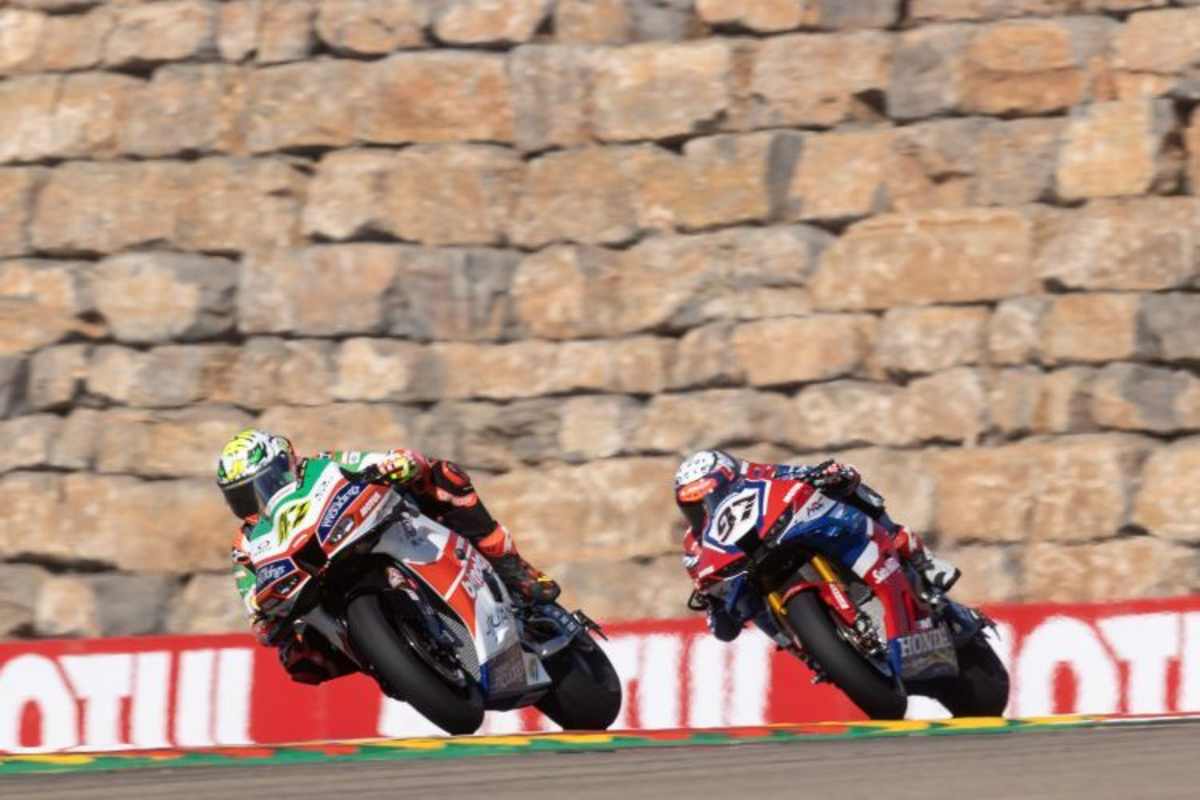 Xavier Vierge & Axel Bassani