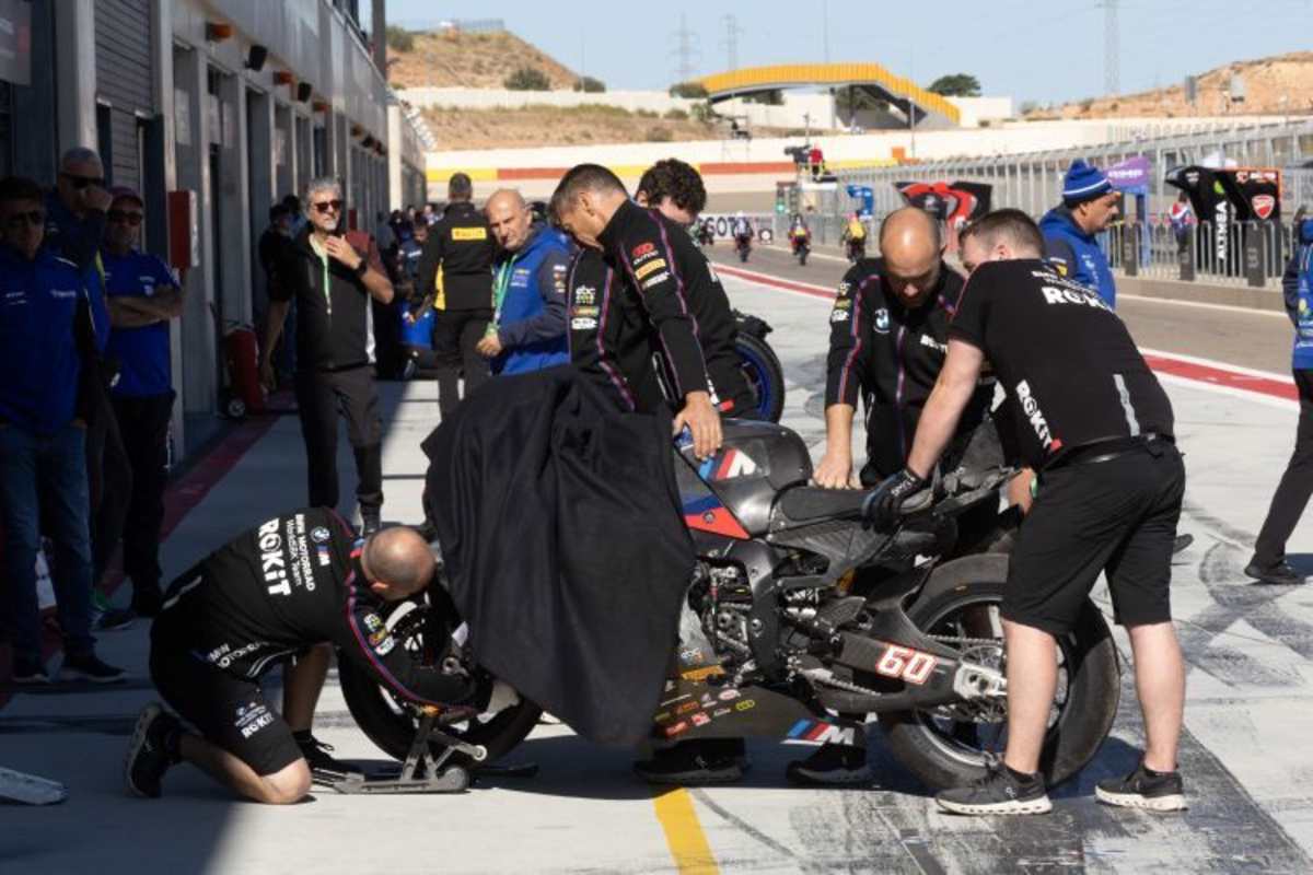 Michael van der Mark