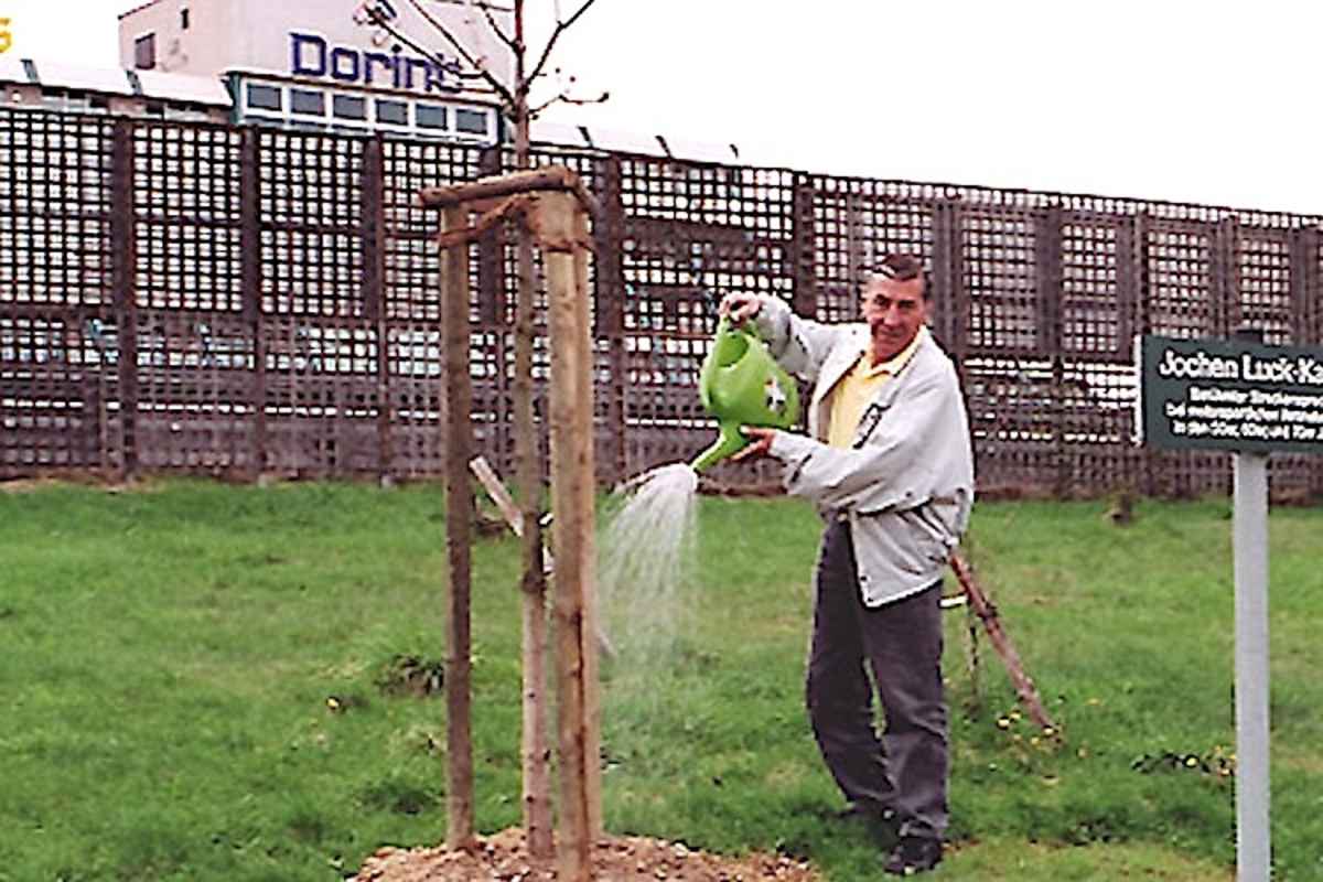 Ehren-Kastanienbaum für Jochen Luck: Von der Nürburgring GmbH gepflanzt und vom Geehrten noch zu Lebzeiten gegossen