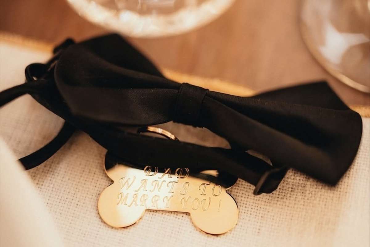 Die Frage aller Fragen auf dem Halsband von Leo