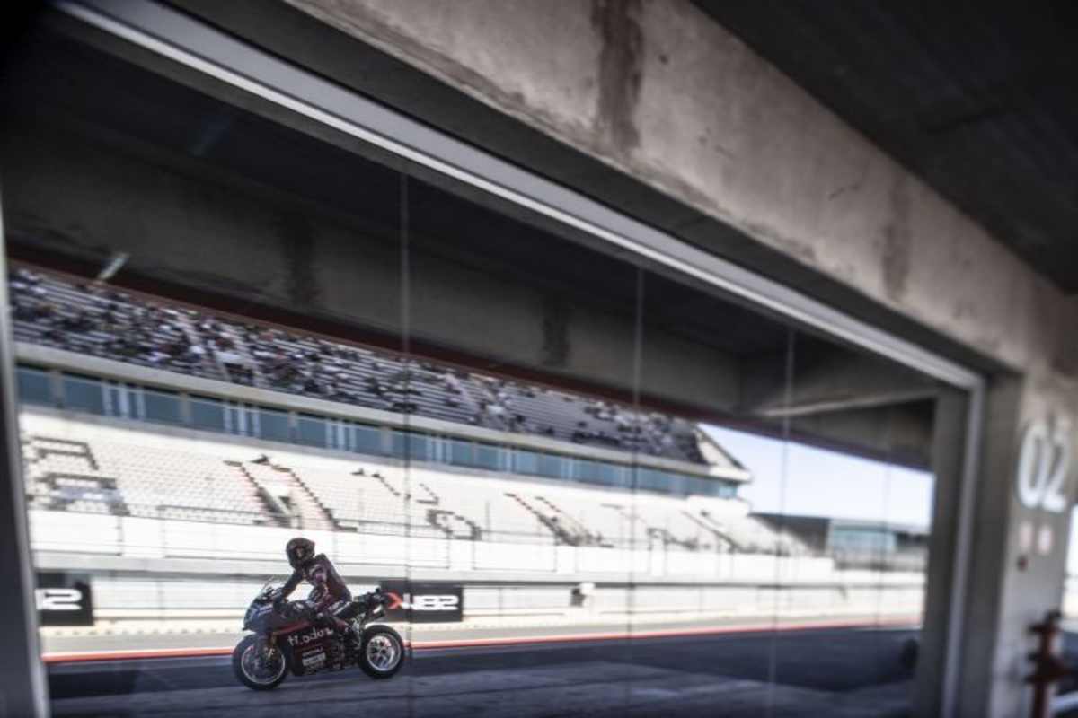 Michael Ruben Rinaldi