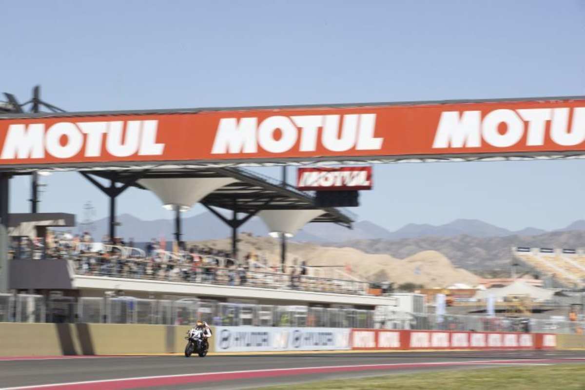 Michael van der Mark