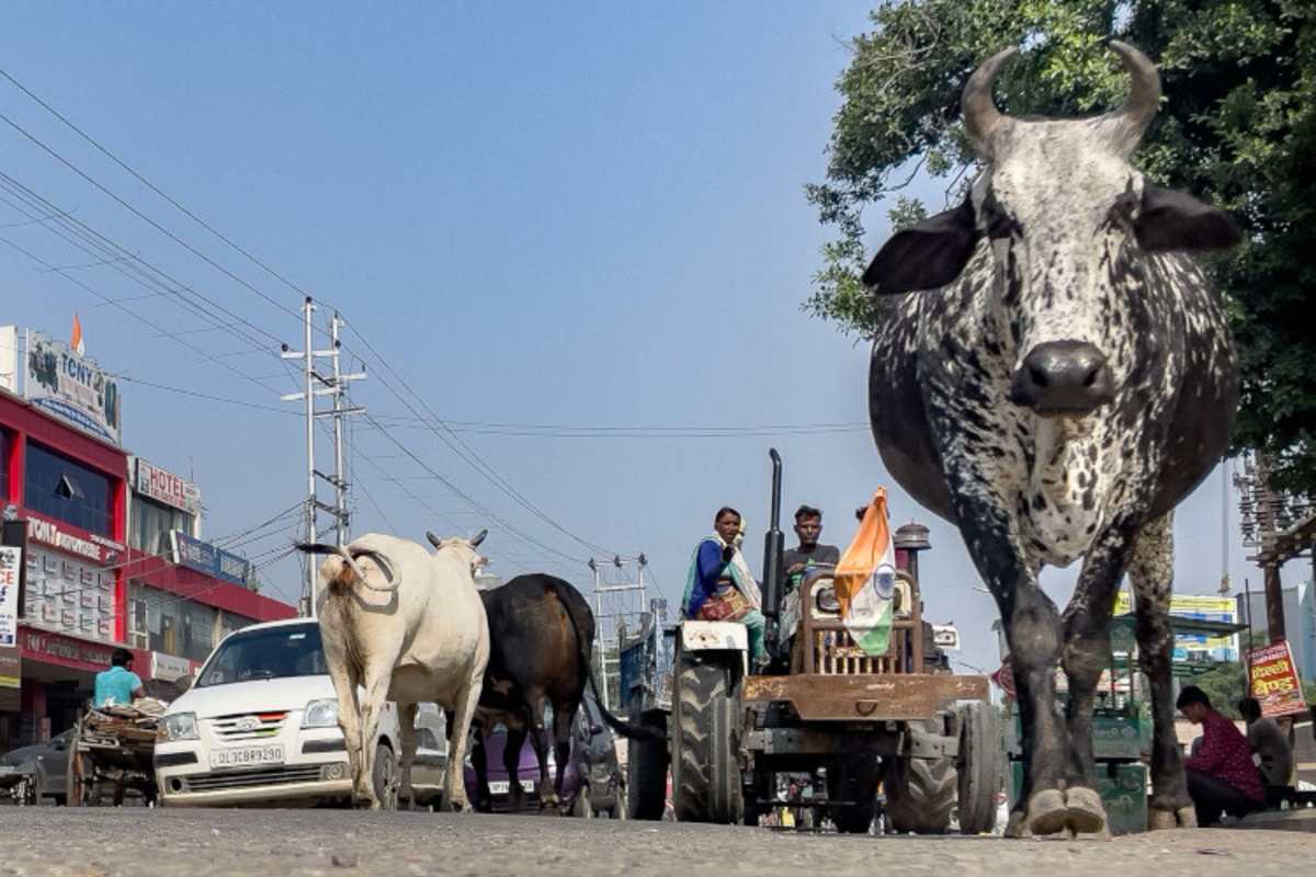 «Es ist anders»: Nochmal Indien, man muss es gesehen haben…