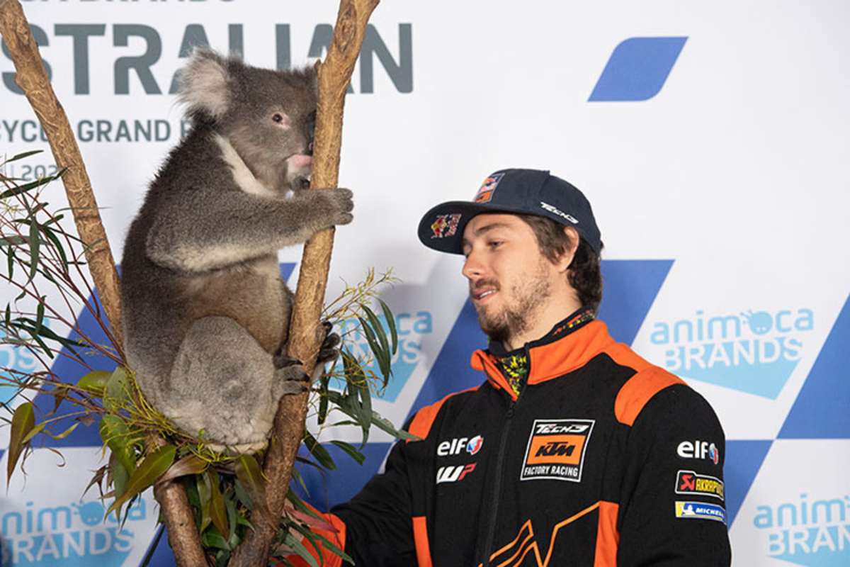 Remy Gardner mit einem Koala im Media Centre am Donnerstag