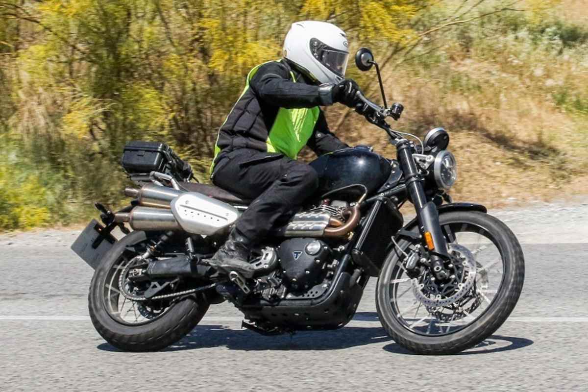 Gekappte Federwege ermöglichen eine reduzierte Sitzhöhe