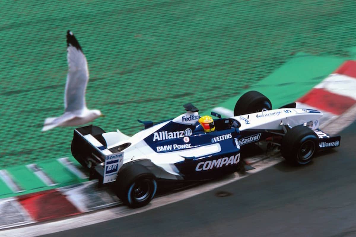 Eine Möwe und Ralf Schumacher in Kanada