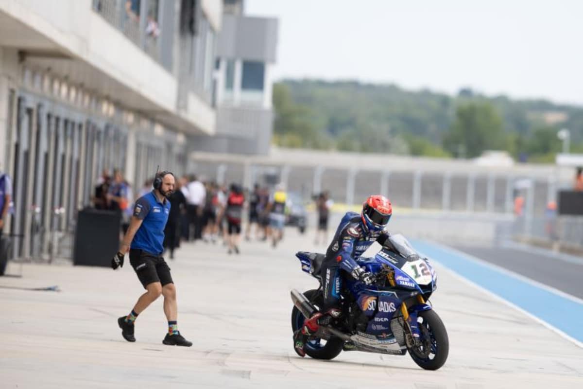 Michael van der Mark