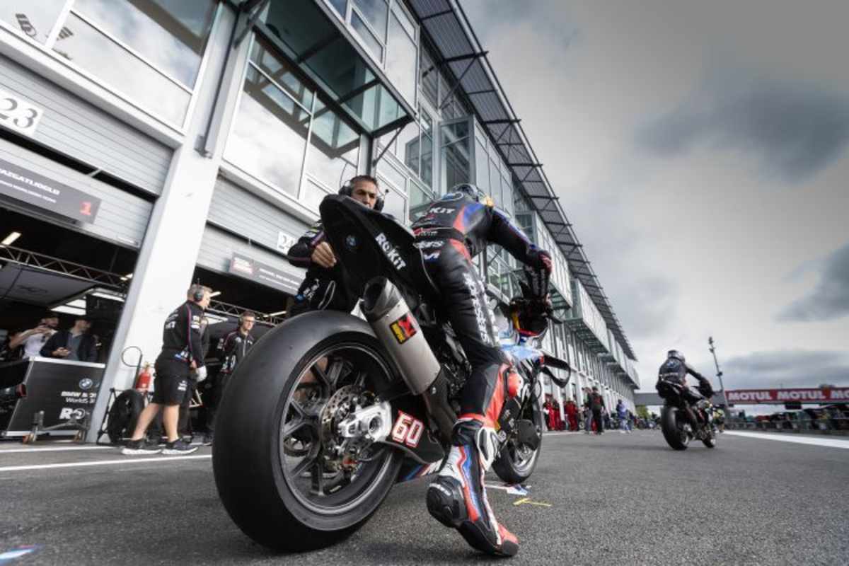 Michael van der Mark