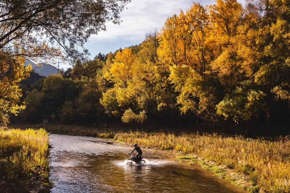 Klein Lärm, keine Abgase - werden sie uns jetzt lieb haben oder wenigstens in Ruhe lassen?