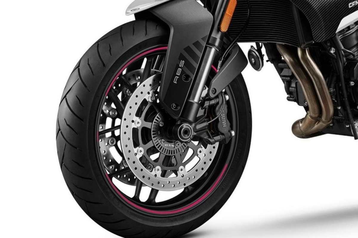 Müsste reichen: 320er Doppelscheibe und Vierkolbenzangen