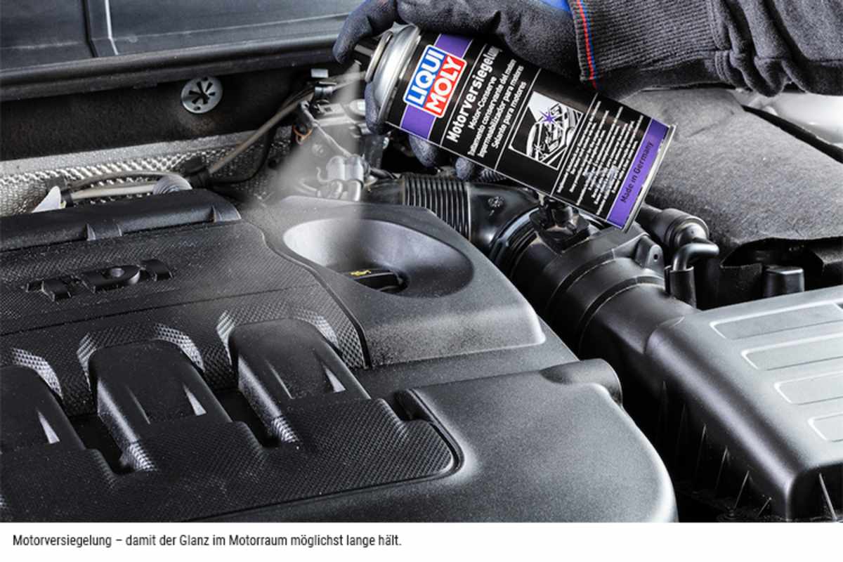 Liqui Moly Motorversiegelung