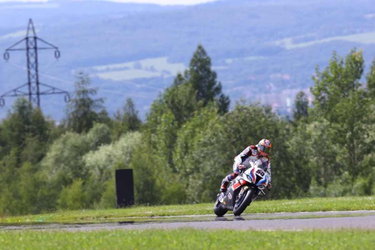 Michael van der Mark