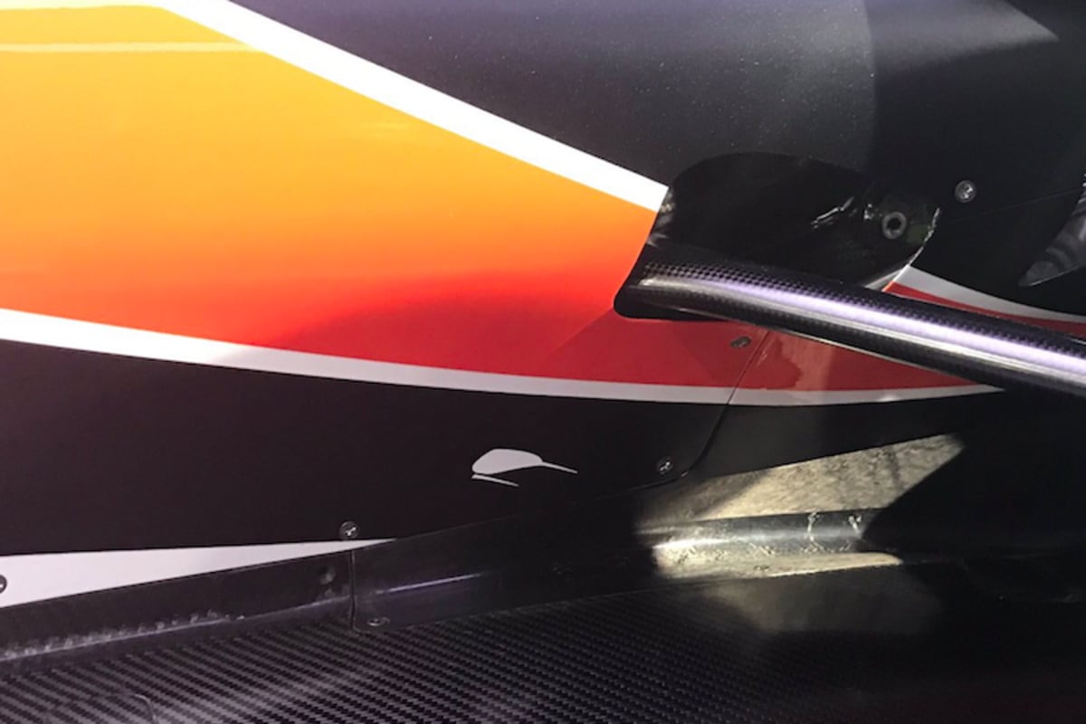 Der Kiwi ist immer dabei