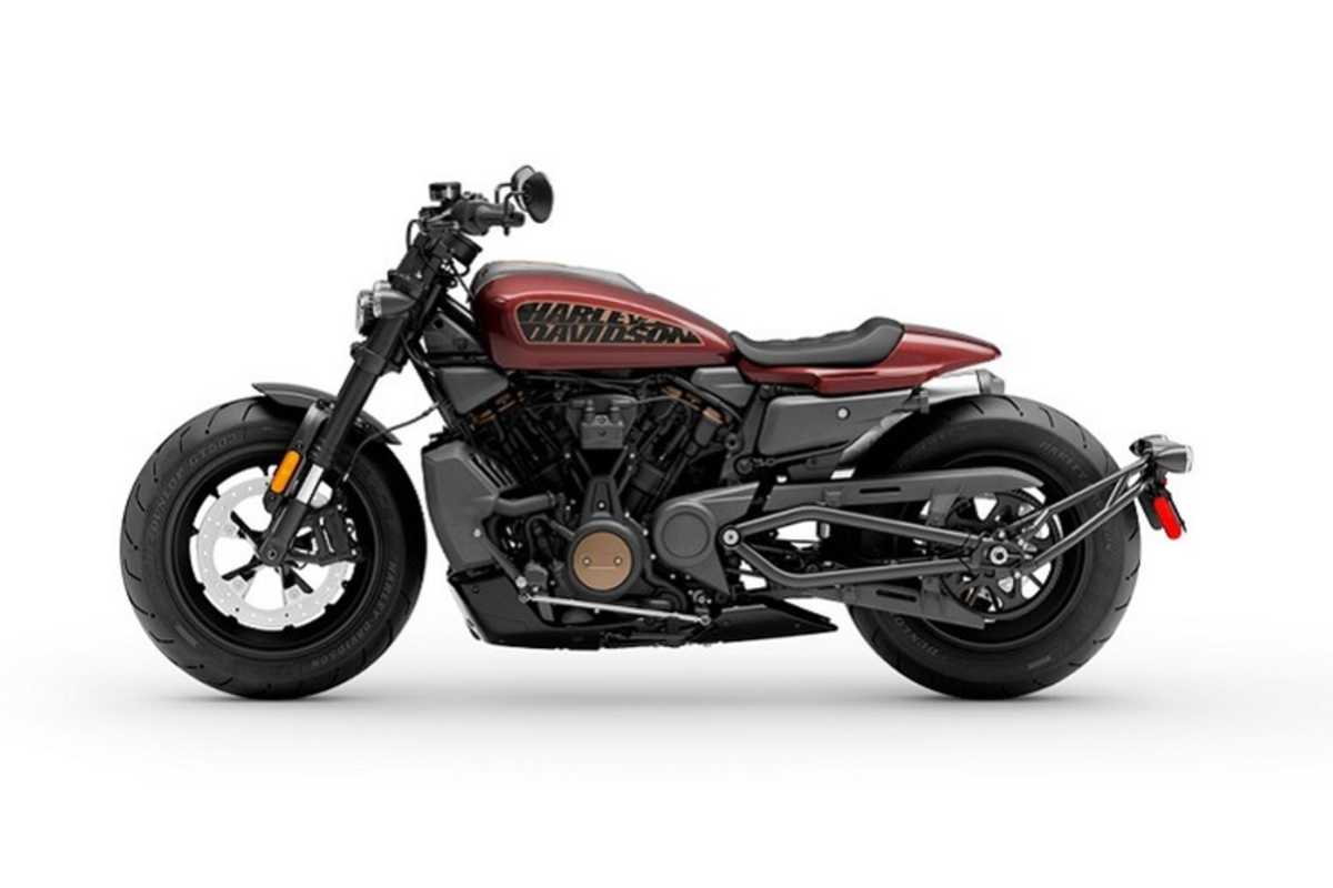 Die andere Seite: Die kunstvoll gefertigte Schwinge fällt erst auf der linken Seite ins Auge 