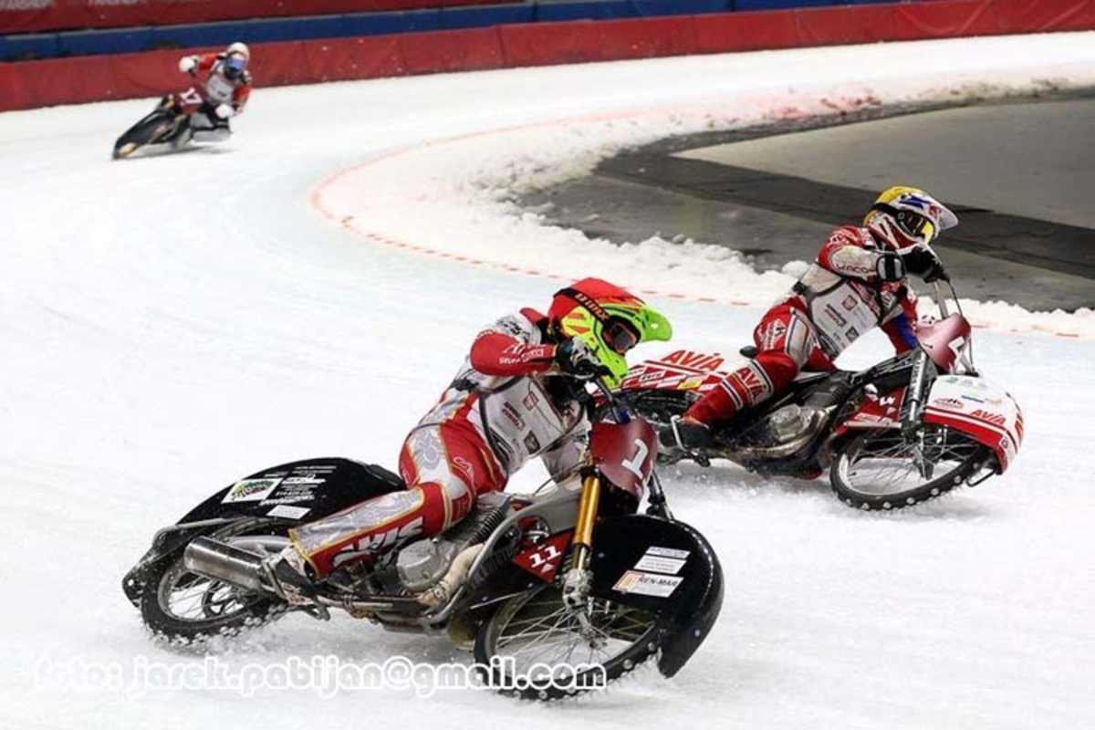 Knapp, Schaap, Saetre