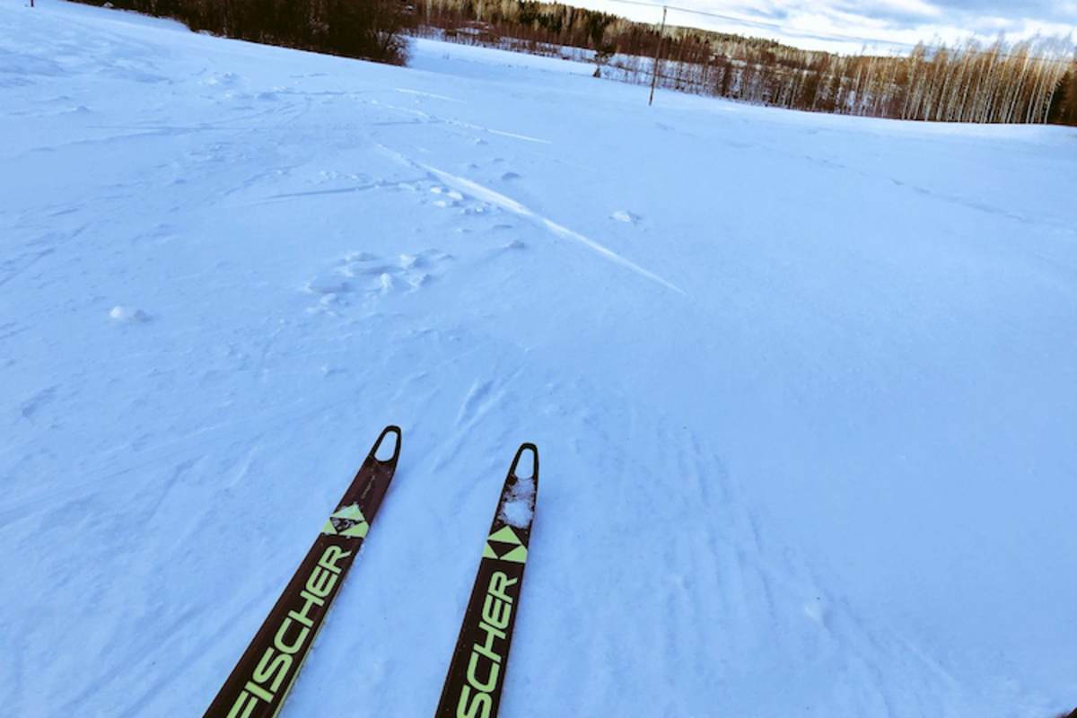  Mercedes-Finne Valtteri Bottas ist in diesen Tagen natürlich auch auf zwei Brettern unterwegs