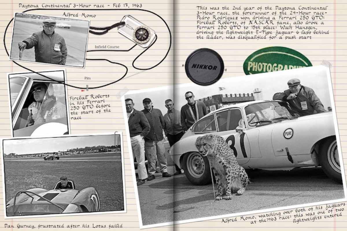 Ja, das ist wirklich ein lebender Gepard im Fahrerlager