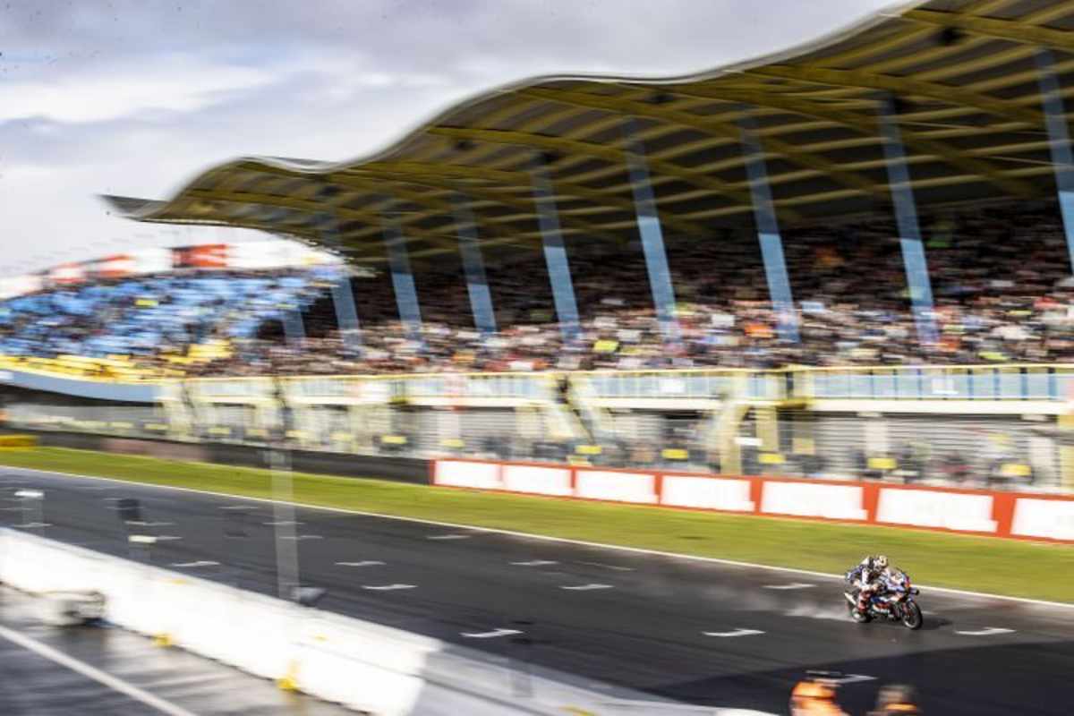 Michael van der Mark